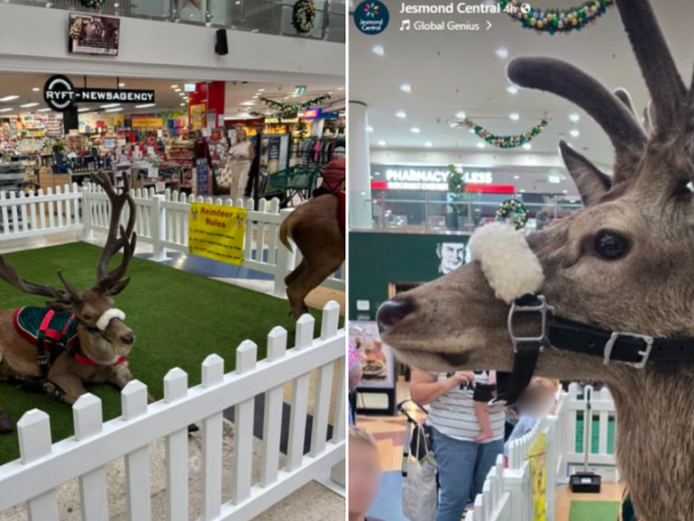 Jesmond Central’s Reindeer Cheer experience has sparked outrage among shoppers. 