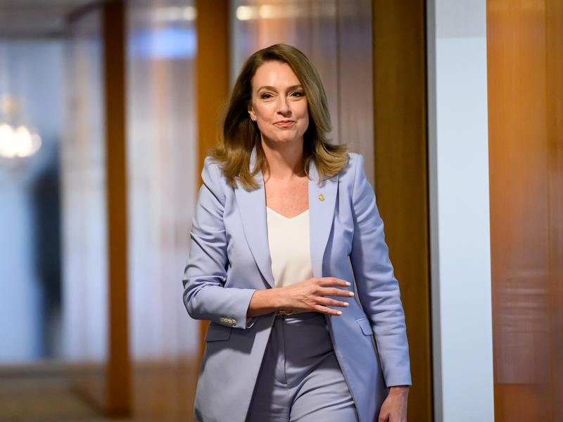 The former Nine Network TV reporter is now one of three state Liberal leaders who are pro net zero moderates. (Bianca De Marchi/AAP PHOTOS)