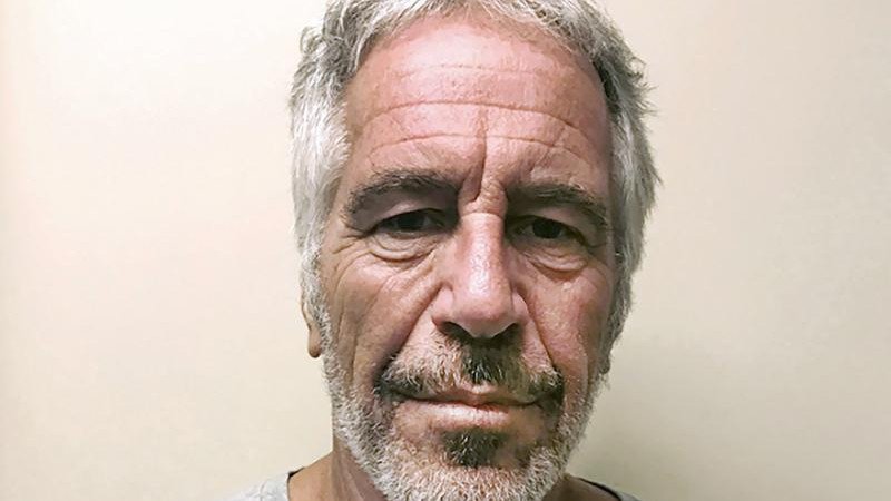 Newly released emails reveal how prominent academics sought advice and support from notorious sex offender Jeffrey Epstein.
