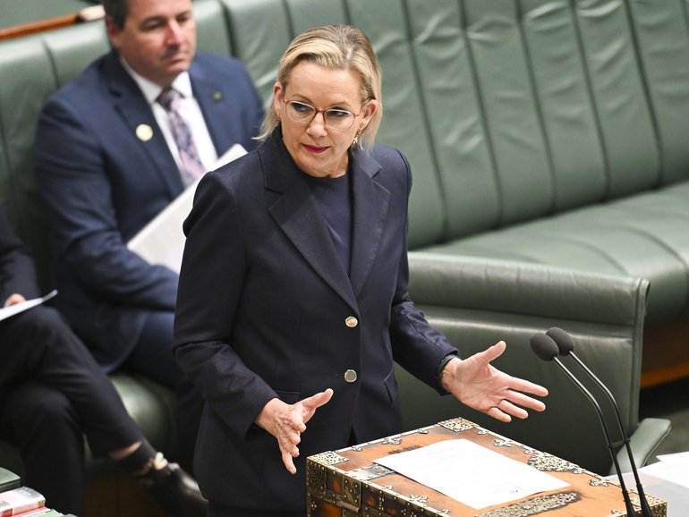 Opposition leader Sussan Ley has urged Australia to “maintain the rage” over the scourge of domestic violence. 