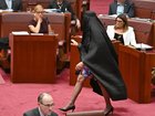 One Nation Leader Pauline Hanson has worn a burqa in the Senate chamber for a second time. 