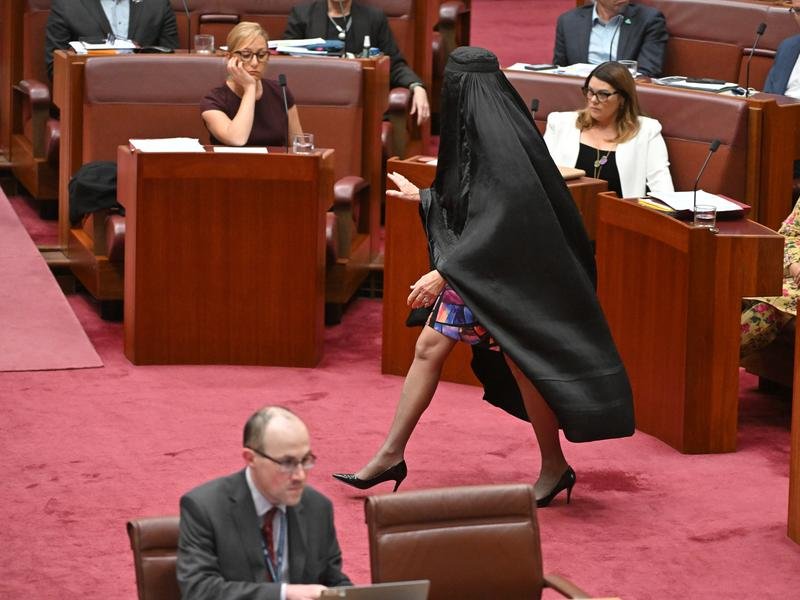 One Nation Leader Pauline Hanson has worn a burqa in the Senate chamber for a second time.
