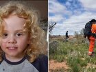 Police have renewed their search for missing four-year-old Gus Lamont.