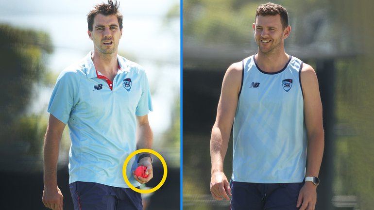 Pat Cummins and Josh Hazlewood.