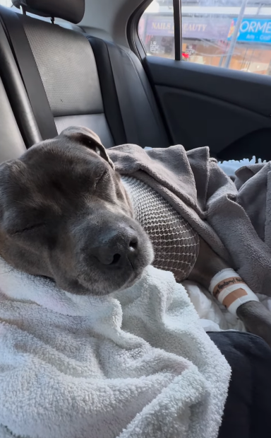 Followers were thrilled to hear Peggy was recovering after the successful surgery. 