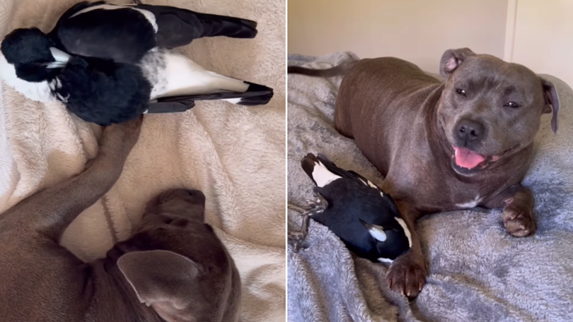 Peggy diagnosed with cancer and underwent surgery, with Molly her biggest support. 