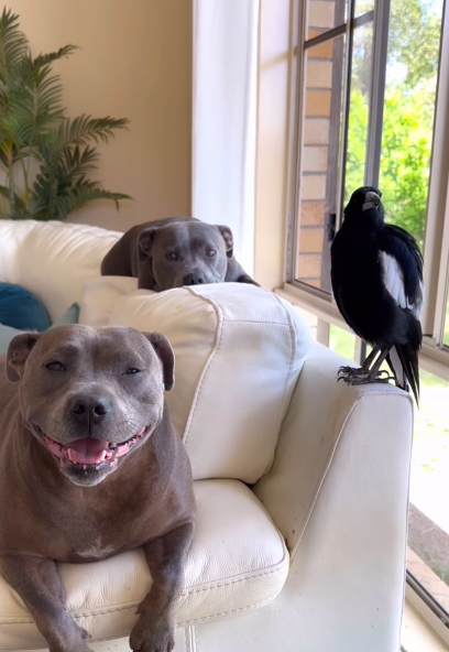 Peggy and Molly, plus pup Ruby, are an unlikely trio but are best of friends. 