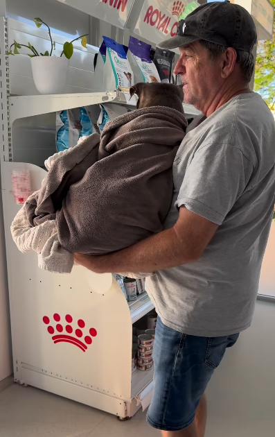 Owner Reece Mortensen took his dog to the vet on Friday. 