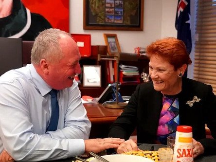 Barnaby Joyce and Pauline Hanson enjoy their Parliament House steak dinner, cooked up on a sandwich press