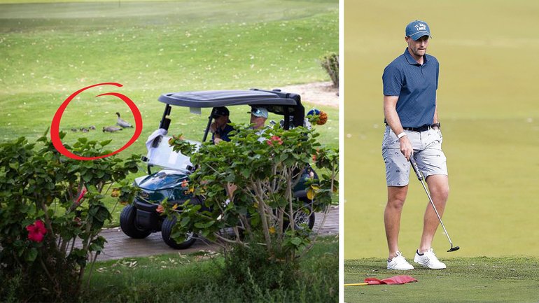 The Poms, the ducks and Joe Root.