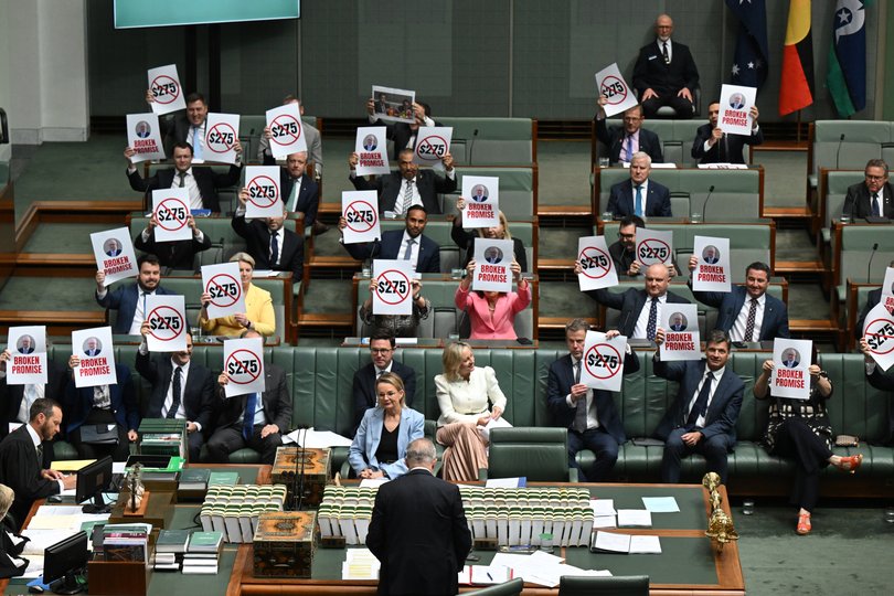 Members of the Opposition hold up signs during Question Time.