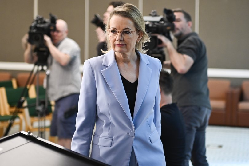 Sussan Ley is one of the winners of 2025, but is also a loser.