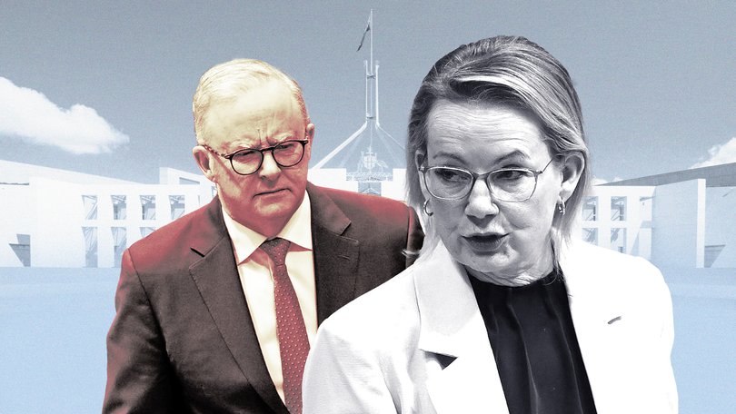 Anthony Albanese and Sussan Ley.