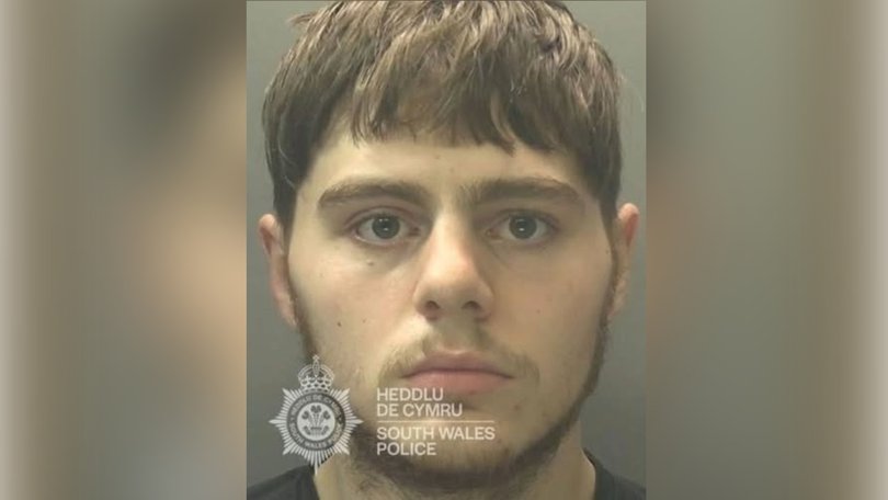Steven Cornish, 19, killed his girlfriend's cat and made her clean up the 'mess'.