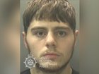 Steven Cornish, 19, killed his girlfriend's cat and made her clean up the 'mess'.