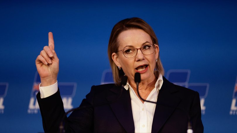 Opposition Leader Sussan Ley says she is not responsible for Labor passing sweeping environmental reforms with the Greens. Picture: NewsWire / Brendan Read