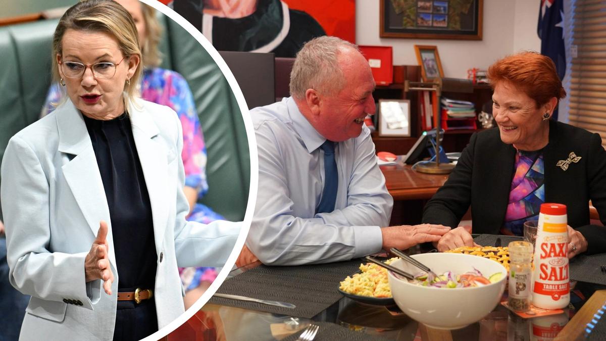 Sussan Ley says Barnaby Joyce’s future is ‘his decision’ as speculation grows over possible One Nation move