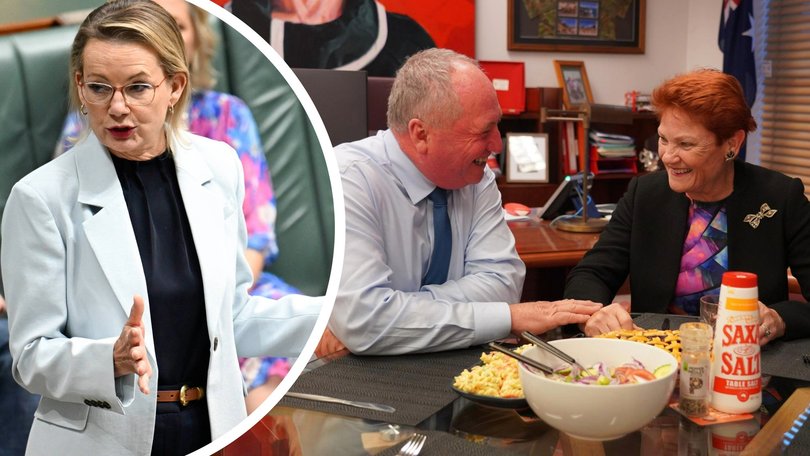 Sussan Ley has not counselled Barnaby Joyce not to jump ship to One Nation.