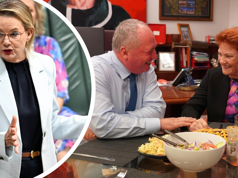 Sussan Ley has not counselled Barnaby Joyce not to jump ship to One Nation.