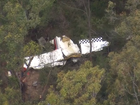 A pilot has died after two planes collided mid-air in Sydney’s southwest.