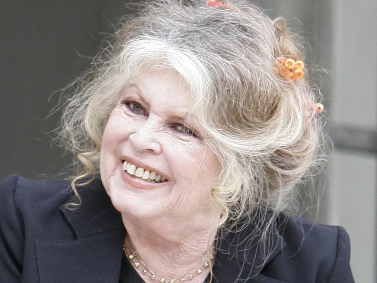 Brigitte Bardot's foundation has hit out at "the spread of false information" about her health. (AP PHOTO)