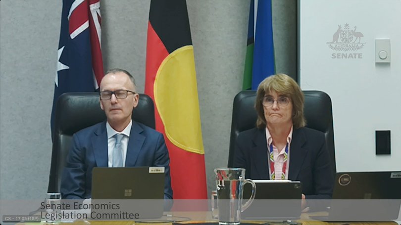 Reserve Bank of Australia Governor Michele Bullock appearing before the Senate economics committee on Wednesday, December 3. Picture: Unknown