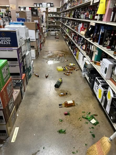 The party animal left chaos behind after tearing through the bottom-shelf liquor.