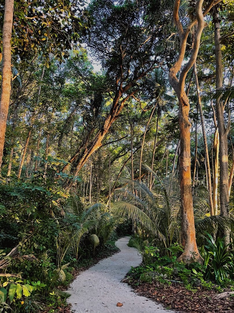 It doesn’t come often, but when it does, you know you’ve landed upon the incredible - in this case, Nikoi Island.