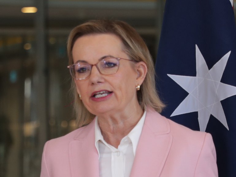 Opposition Leader Sussan Ley has accused Anika Wells of not focusing on her day job