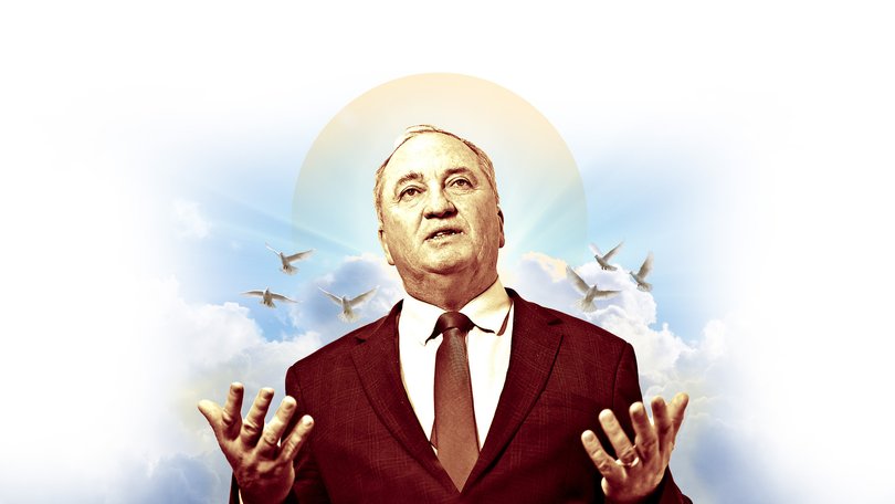 Why Barnaby Joyce might be Australia’s economic salvation