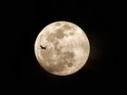 The last full moon of 2025 will also be a supermoon.