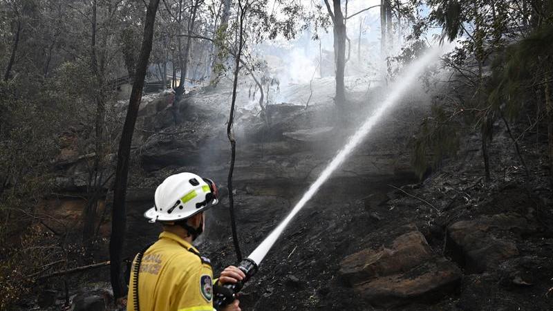 NSW bushfire death: Firefighter dead after being struck by tree in national park near Bulahdelah blaze NSW bushfire death: Firefighter dead after being struck by tree in national park near Bulahdelah blaze