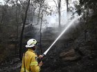 A National Parks firefighter has died after being struck by a tree in a NSW bushfire disaster zone.