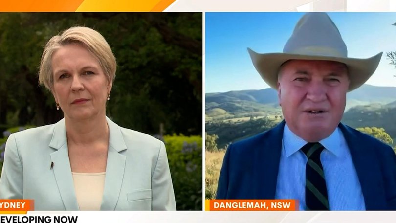 Barnaby Joyce criticised Tanya Plibersek for defending Ms Wells’ travel bills.
