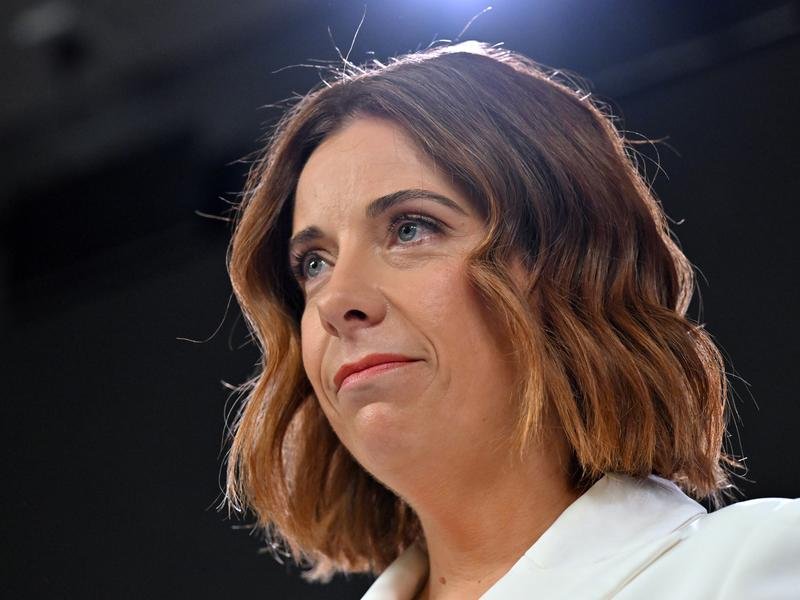 Anika Wells has said she does not anticipate the ban’s rollout to be entirely smooth.