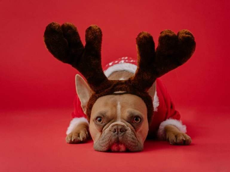 Analysts will be watching the RBAs wording closely, particularly around holiday spending patterns, wage growth, housing-driven inflation, and the timing of future cuts. Pic Unsplash