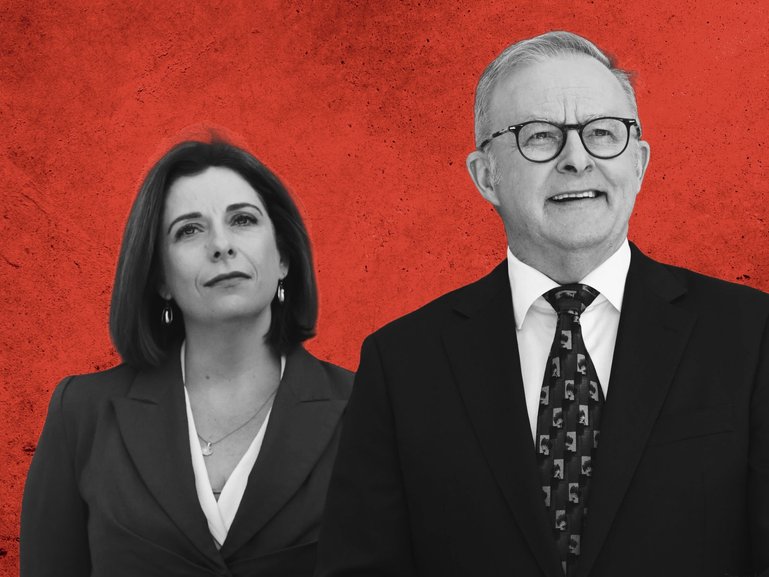 Anthony Albanese has been forced to defend Anika Wells and her travel spending during an under 16s social media ban victory lap.