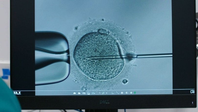 A sperm donor has passed on a cancer-causing gene.