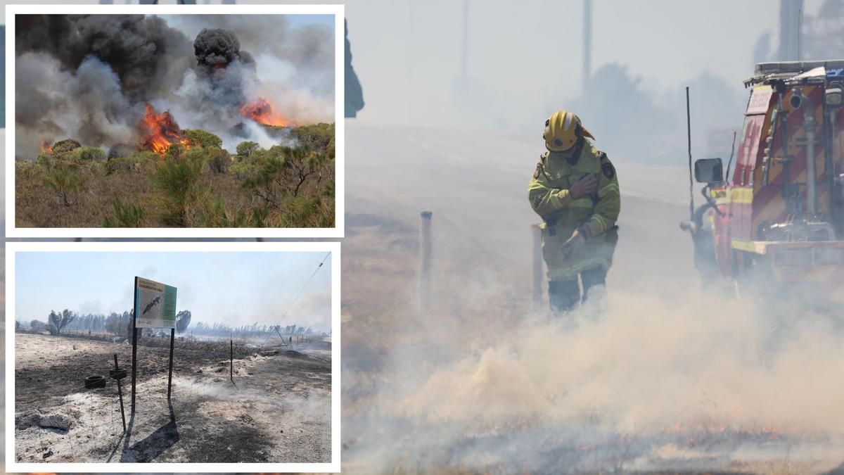 Perth bushfires: Major flight delays as Perth Airport’s main runway shut down due to firefighting activities Perth bushfires: Major flight delays as Perth Airport’s main runway shut down due to firefighting activities