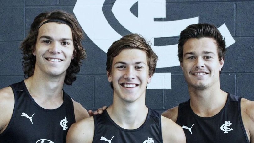 The Silvagni brothers Ben, Tom (centre), and Jack.