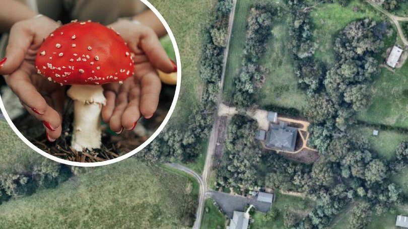 The infamous mushroom-murder home that stopped readers in their tracks.