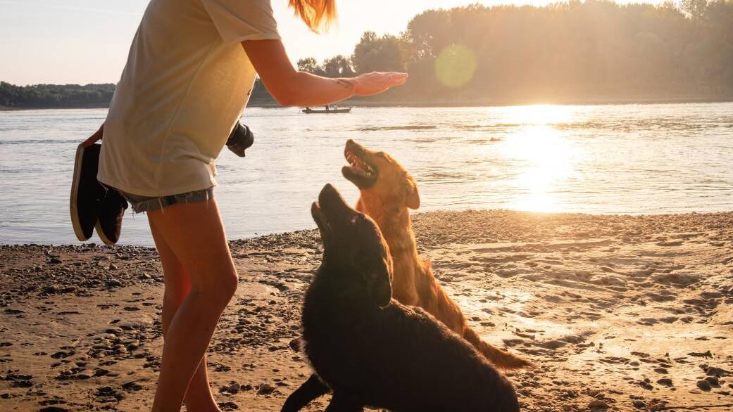 That holiday house you’ve just spotted may be gorgeous, but is it a good investment? That holiday house you’ve just spotted may be gorgeous, but is it a good investment?