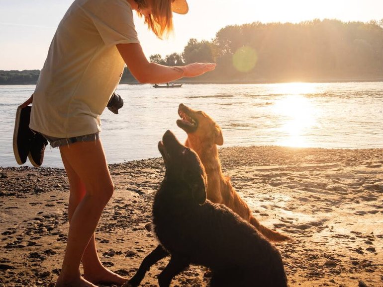 As summer comes around, a holiday home by the beach may seem a good investment, but there are factors to consider. Pic: Shutterstock