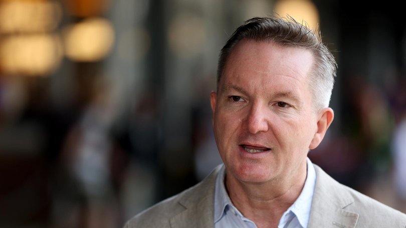 Climate Change and Energy Minister Chris Bowen said it was appropriate action to take and showed the ministers were very comfortable with their actions. Picture: NewsWire / Damian Shaw