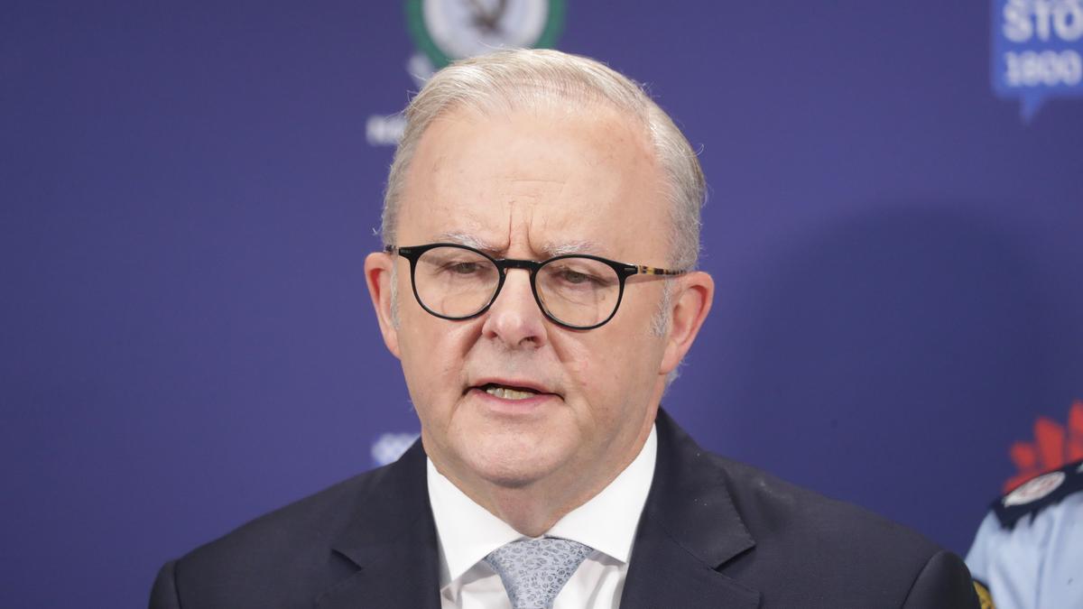 ANDREW GREENE: Why Albanese could learn a thing or two from Chris Minns as he faces toughest test ANDREW GREENE: Why Albanese could learn a thing or two from Chris Minns as he faces toughest test