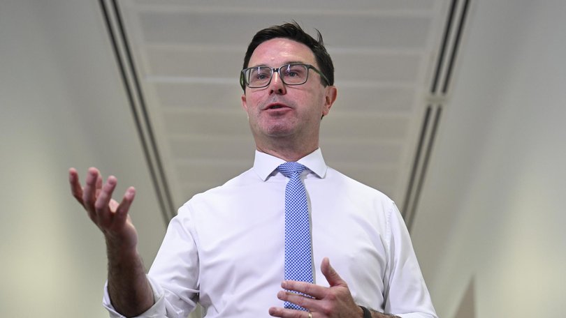 Nationals leader David Littleproud has called on Anthony Albanese to recall Parliament over the Bondi Beach massacre. Picture: NewsWire / Martin Ollman