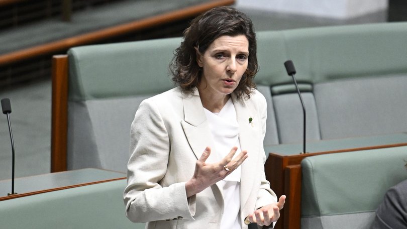 Allegra Spender says Labor’s prospective review of national security agencies is ‘not good enough’. Picture: NewsWire / Martin Ollman