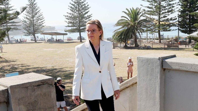 Opposition Leader Sussan Ley’s net approval rating has also dipped slightly. Picture: NewsWire/ John Appleyard