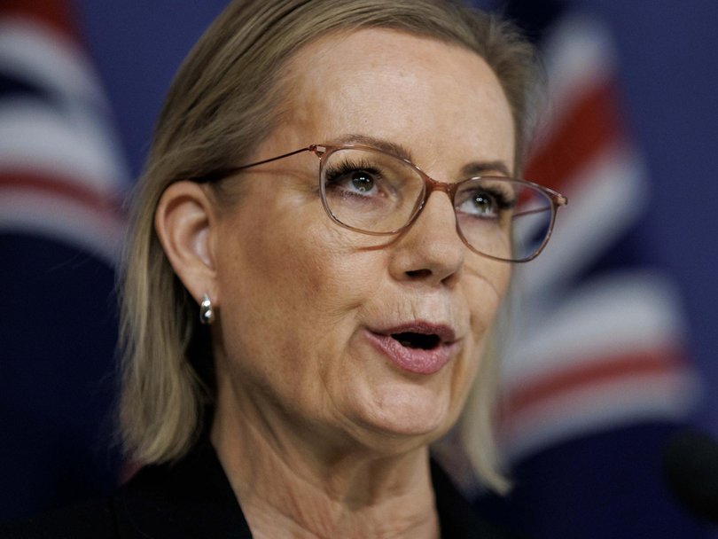 Sussan Ley has reiterated calls for a federal probe into anti-Semitism. Picture: NewsWire / Nikki Short
