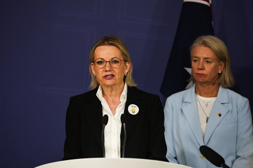 Sussan Ley has vowed to call out the Prime Minister every day until he agrees to an inquiry.